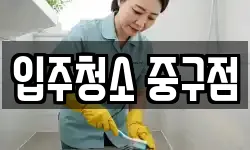 입주청소 중구점