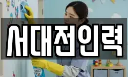 서대전인력