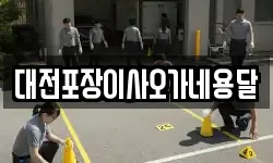 대전포장이사오가네용달