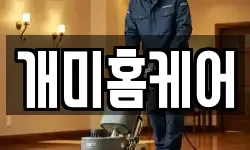 개미홈케어