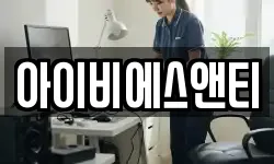 아이비에스앤티