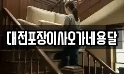 대전포장이사오가네용달