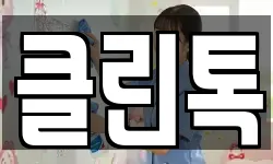 클린톡