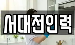 서대전인력