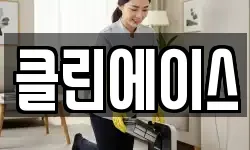 클린에이스