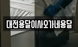 대전용달이사오가네용달