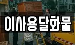 이사용달화물