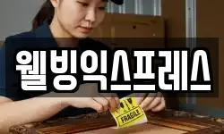 웰빙익스프레스