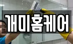 개미홈케어
