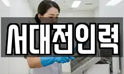 서대전인력