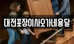 대전포장이사오가네용달