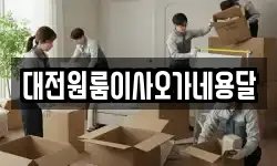 대전원룸이사오가네용달