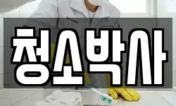 청소박사