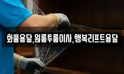 부산광역시 강서구 강동동 이사,용달이사,포장이사,원룸이사,보관이사