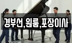부산광역시 강서구 대항동 이사,용달이사,포장이사,원룸이사,보관이사