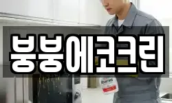 붕붕에코크린