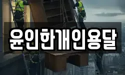 윤인한개인용달