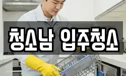 청소남 입주청소