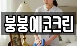 붕붕에코크린
