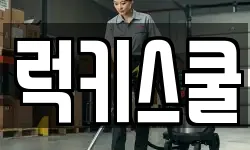 럭키스쿨