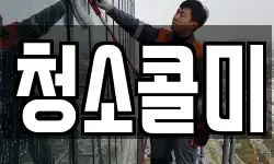 청소콜미