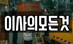 부산광역시 강서구 신호동 이사,용달이사,포장이사,원룸이사,보관이사