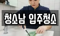 청소남 입주청소