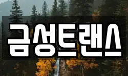 금성트랜스