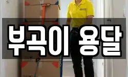 부곡이 용달
