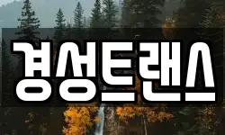 경성트랜스