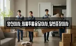 양산이사,원룸투룸용달이사,일반포장이사