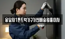 용달차1톤트럭가구가전배송원룸이사