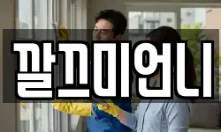 깔끄미언니