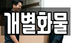 개별화물