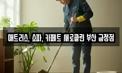 매트리스, 소파, 카페트 새로클린 부산 금정점