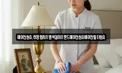 에어컨청소,천장형시스템벽걸이스탠드에어컨청소에어컨필터청소