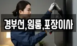 경부선,원룸,포장이사