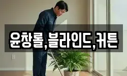 윤창롤,블라인드,커튼