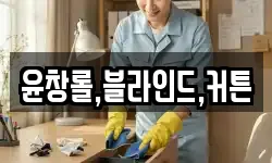 윤창롤,블라인드,커튼