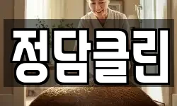 정담클린