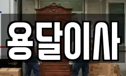 용달이사