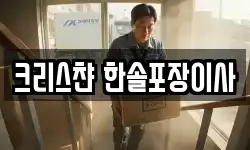 크리스챤 한솔포장이사