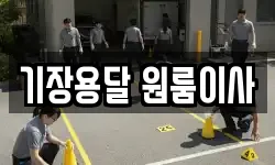 기장용달 원룸이사