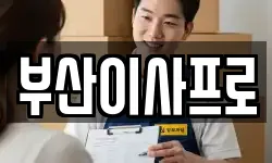 부산이사프로