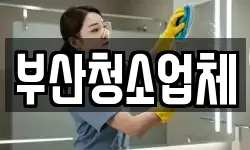 부산청소업체