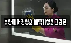 부산에어컨청소 세탁기청소 그린존