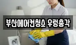 부산에어컨청소 우렁총각