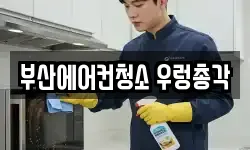 부산광역시 기장군 일광읍 청소,입주청소,사무실청소,에어컨청소