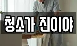 청소가 진이야