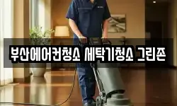 부산에어컨청소 세탁기청소 그린존